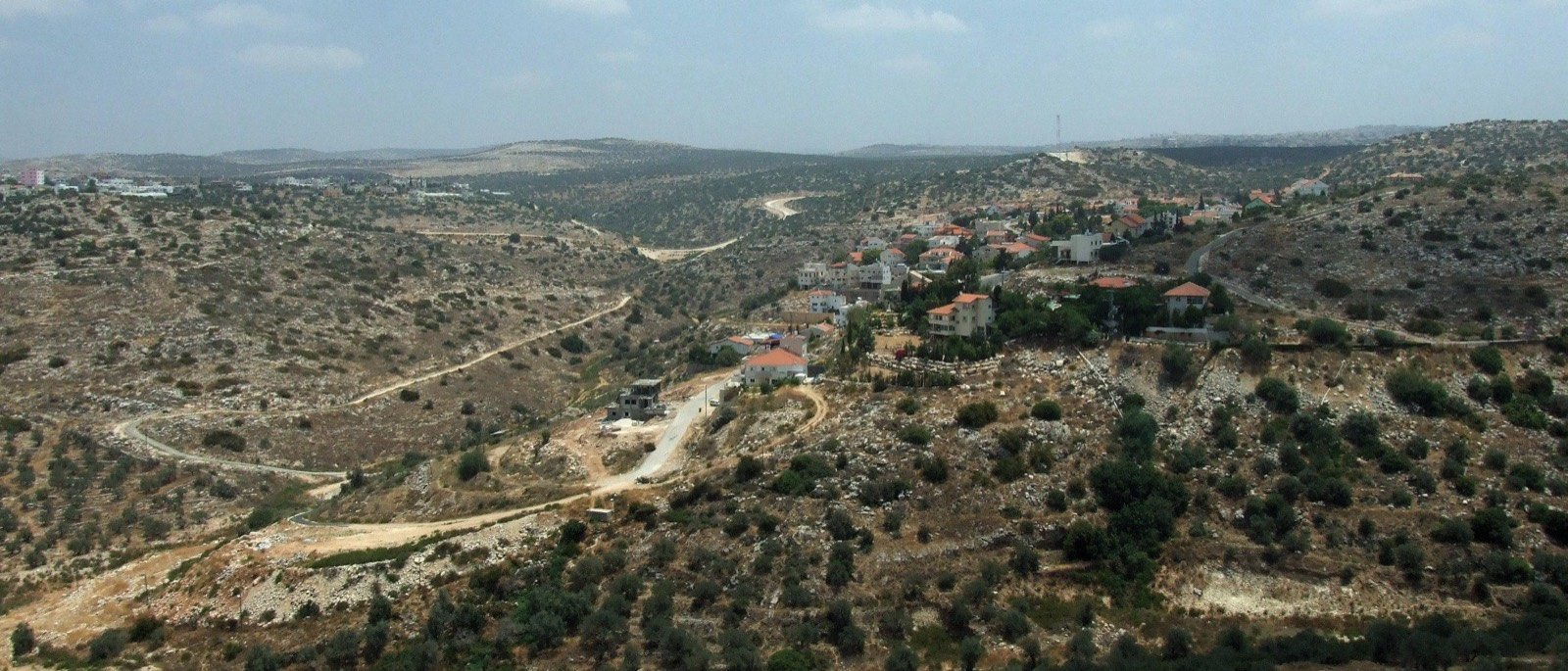 עץ אפרים